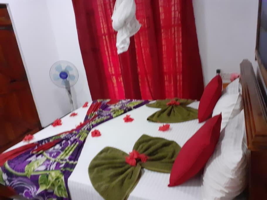 Sigiriya Village Home Stay Extérieur photo